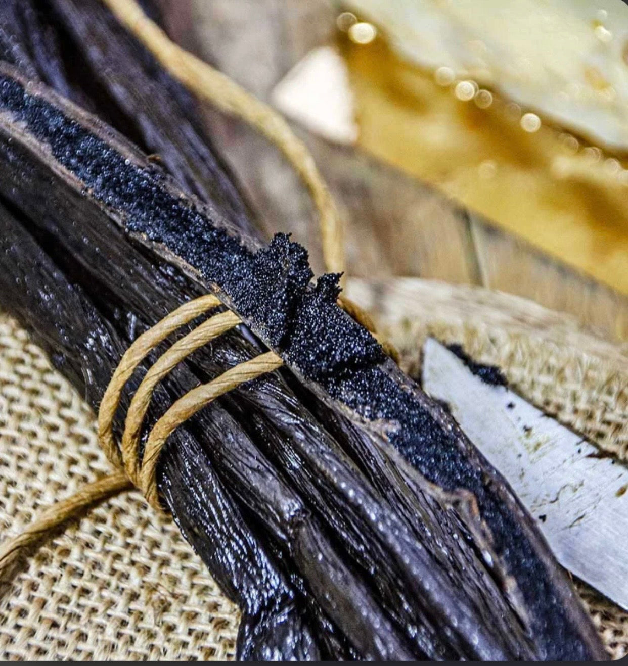 Vanilla Beans