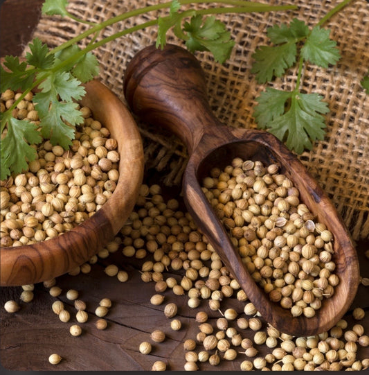 Coriander Seeds